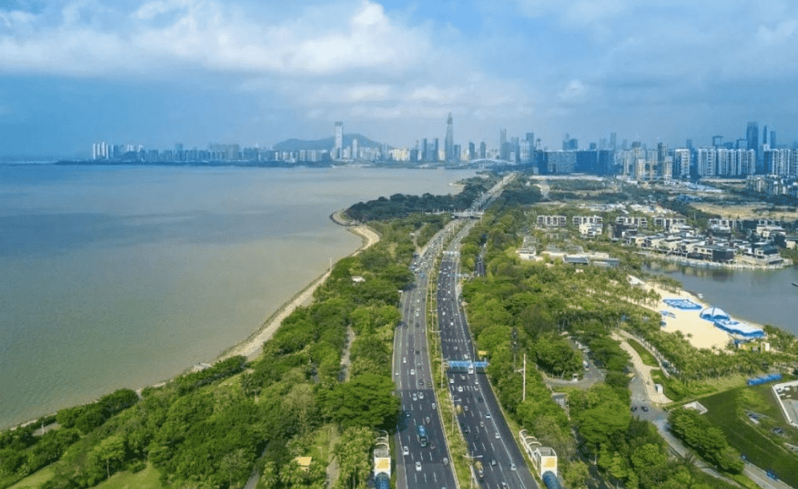 深圳濱海大道（海堤、道路）詳勘工程